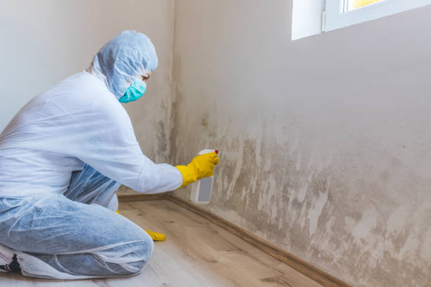 Licensed Crawl Space Mold Remediation service in Stratford, NJ - 24 Hour Mold Removal