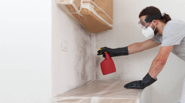 Professional Crawl Space Mold Remediation technician working in Stratford, NJ